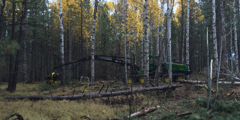 Cut-to-Length vs Whole Tree Logging Systems