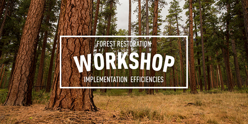 Forest Restoration Implementation Efficiencies Workshop