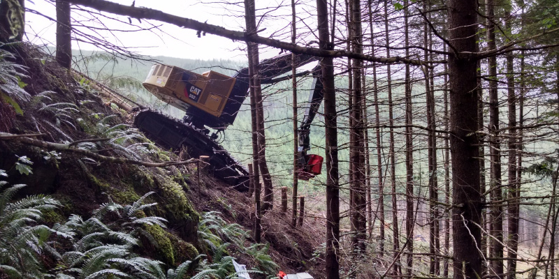 steep slope harvesting equipment soil considerations