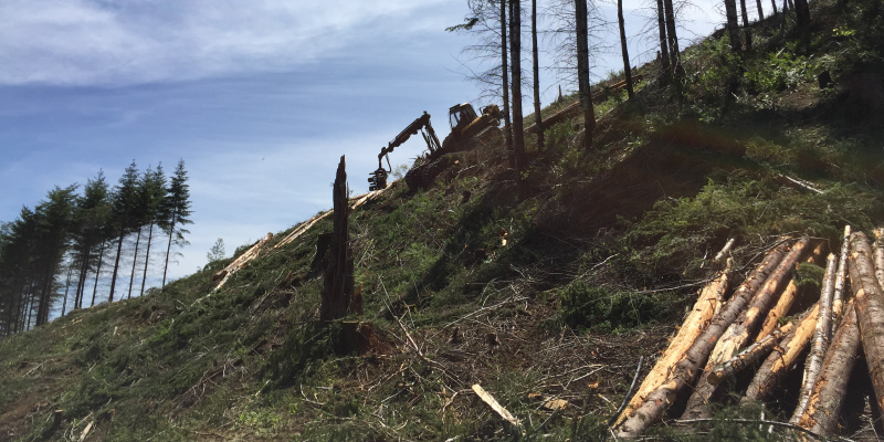 steep terrain ground based harvesting systems